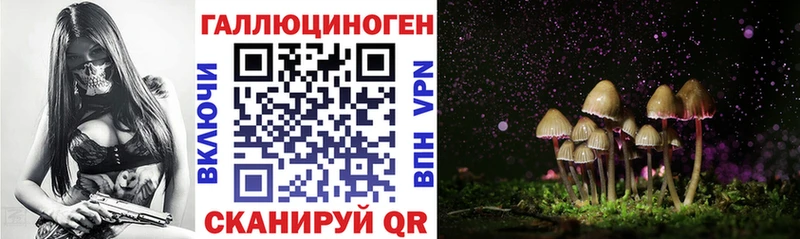 Галлюциногенные грибы Psilocybe  Новоузенск 